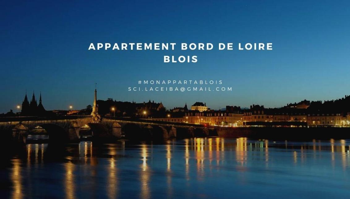 Duplex 60 M2 Bord De Loire Lägenhet Blois Exteriör bild