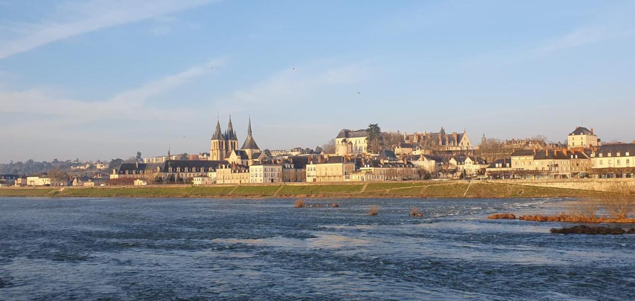 Duplex 60 M2 Bord De Loire Lägenhet Blois Exteriör bild