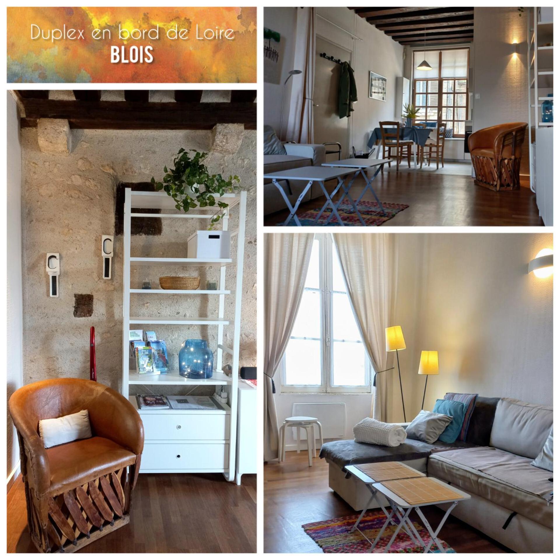 Duplex 60 M2 Bord De Loire Lägenhet Blois Exteriör bild